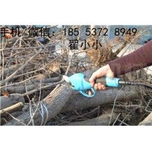 全自動修枝剪，高效又省力