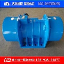 MVM系列三相異步振動電機(jī)