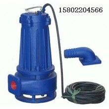 天津自動攪勻排污泵