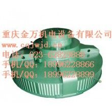 T、TL系列電機(jī)