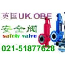 進(jìn)口全量型安全閥 上海樹(shù)典閥門