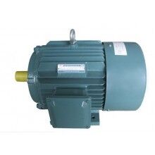 YN系列變頻調(diào)速三相異步電動機