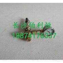 批發(fā)原裝正品攪拌機配件，三一JX3000潤滑油泵芯