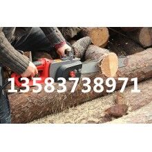 機(jī)動(dòng)鏈鋸（油鋸）